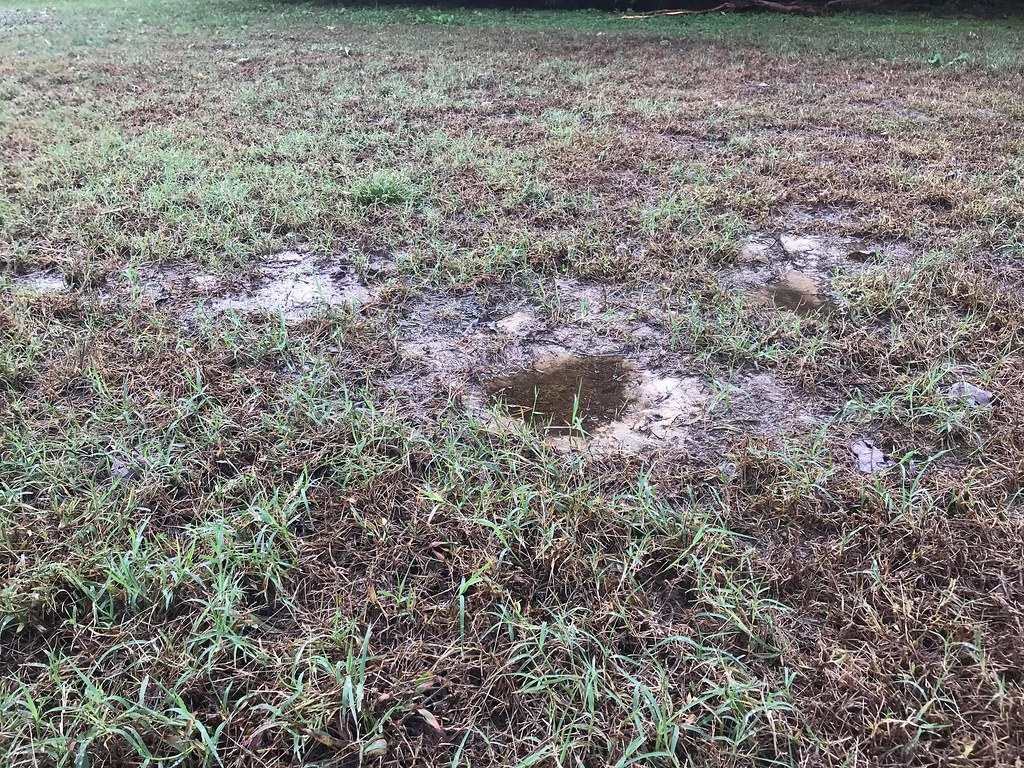 Drainage & Yard Recovery