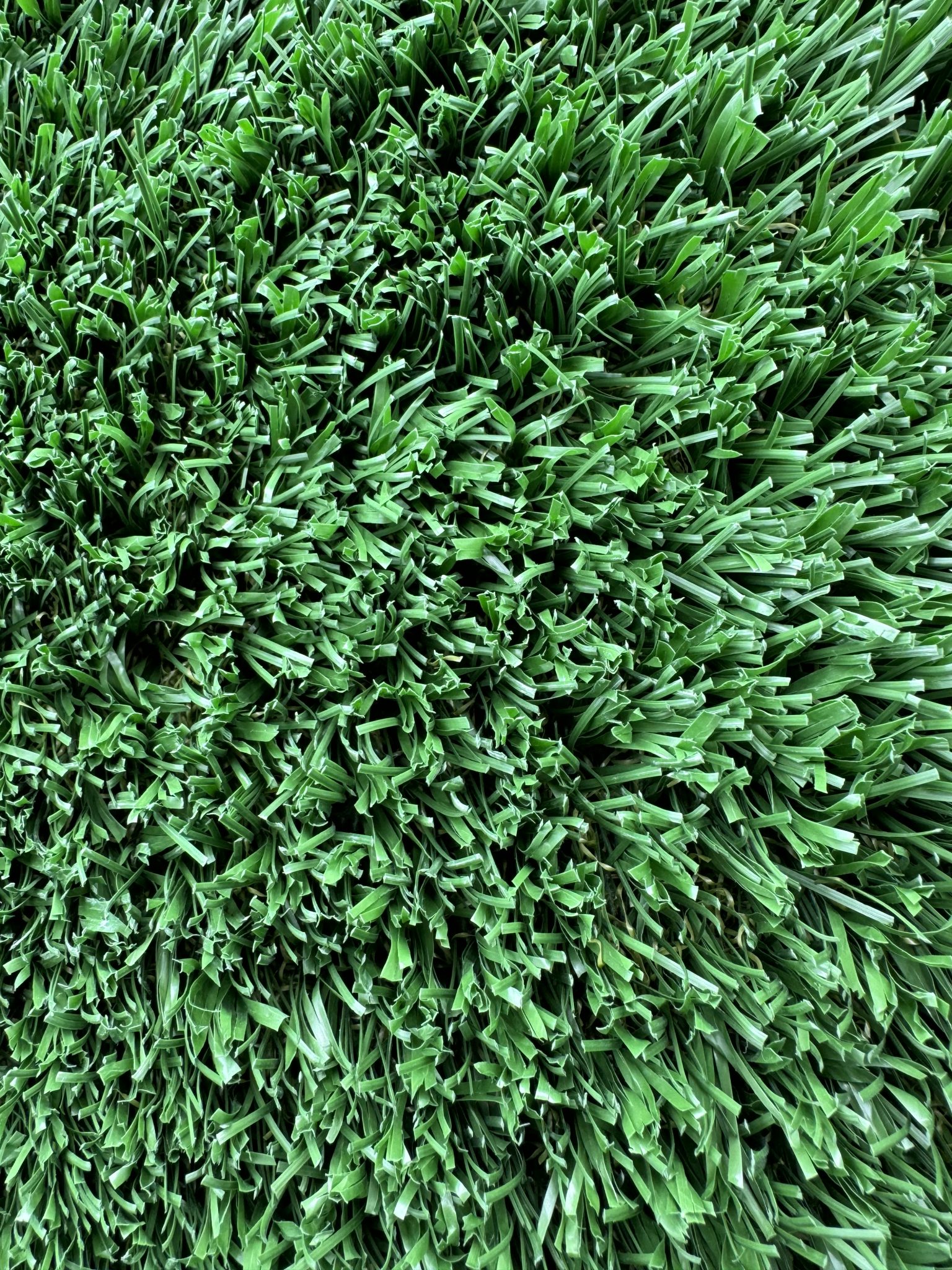 artificial turf and landscape in Frisco